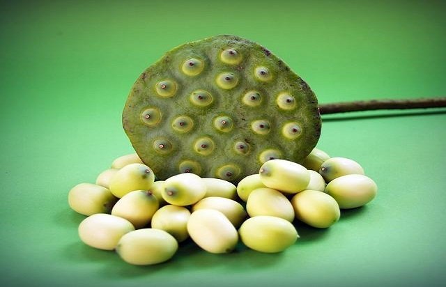 Makhana